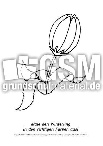 Frühlingsblüher-Ausmalbilder 9.pdf